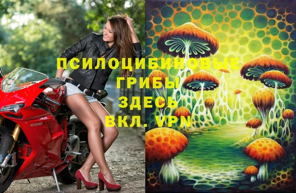 мяу мяу кристалл Богданович