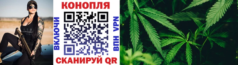 купить закладку  мориарти клад  Каннабис SATIVA & INDICA  Вельск 